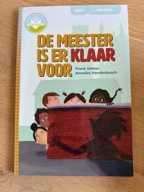 Leesboek De meester is er klaar voor 3e leerjaar   NIEUW, Enlèvement ou Envoi, Neuf, Langue et Lecture
