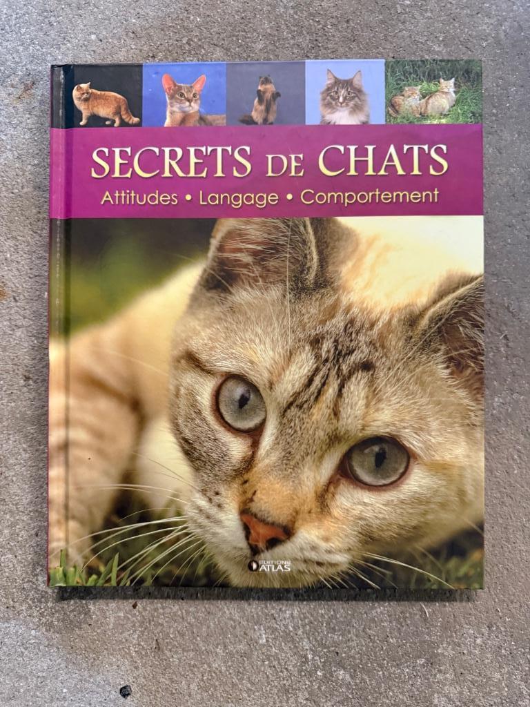 Livre Secrets de chats, Enlèvement ou Envoi, Neuf, Chats