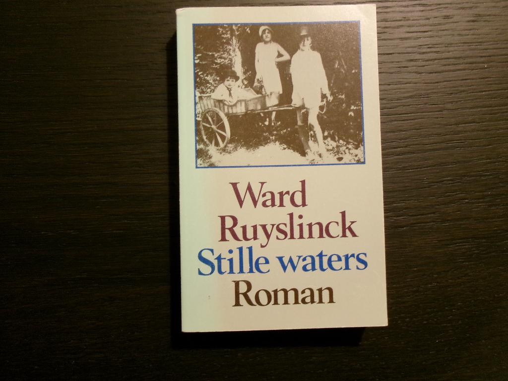 Stille waters  -Ward Ruyslinck-, Livres, Littérature, Enlèvement ou Envoi