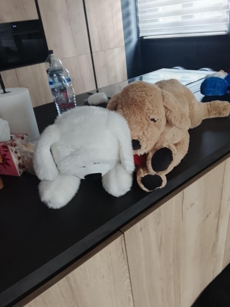 Grote knuffel Samson., Enlèvement, Comme neuf
