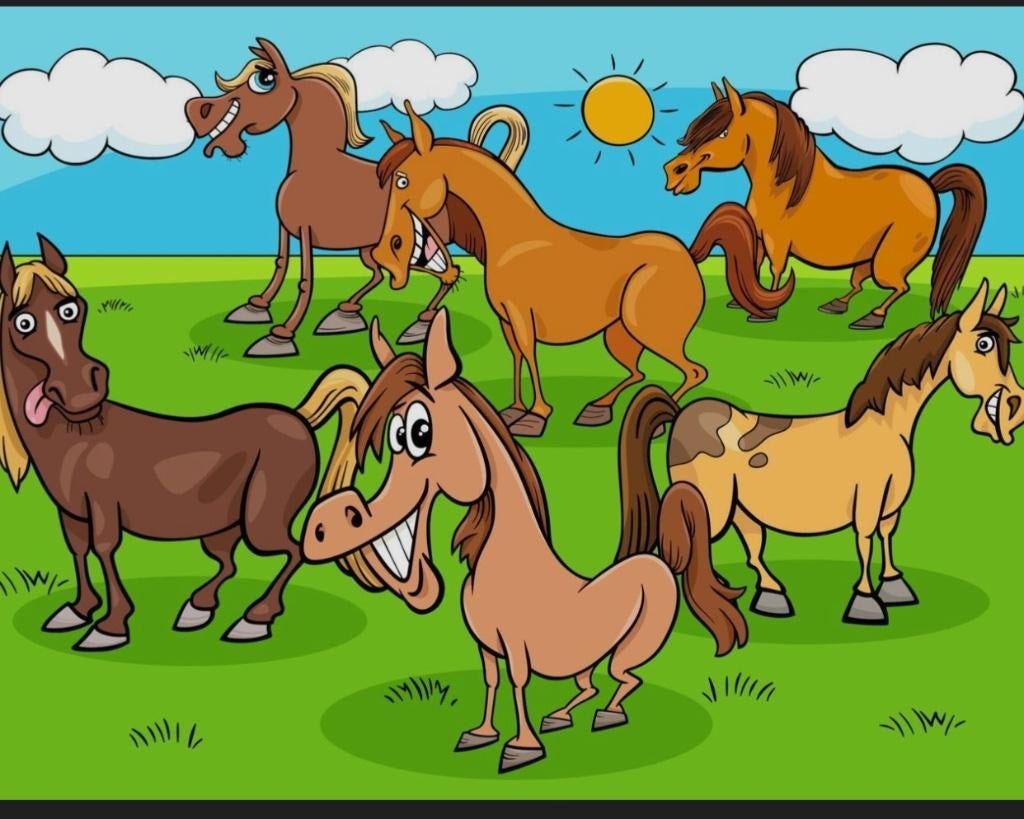 Brave gezonde pony's gezocht, Avec pedigree