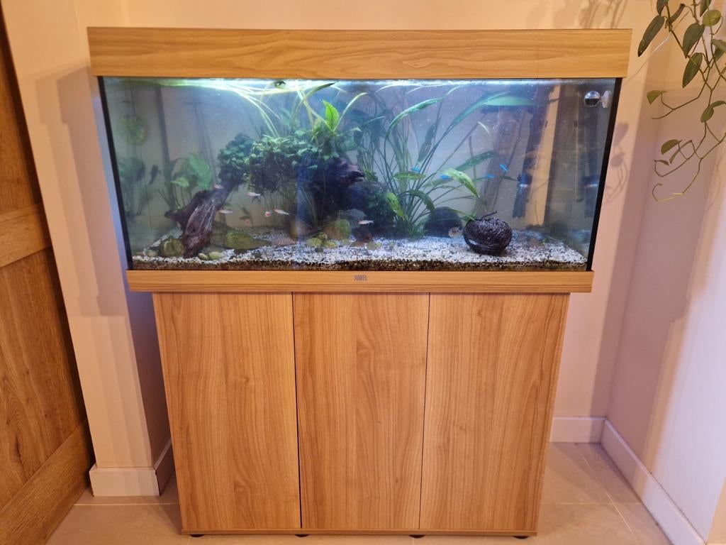 Juwel rio 180, met filter, verwarming en co2 instalatie, Dieren en Toebehoren, Vissen | Aquaria en Toebehoren, Ophalen