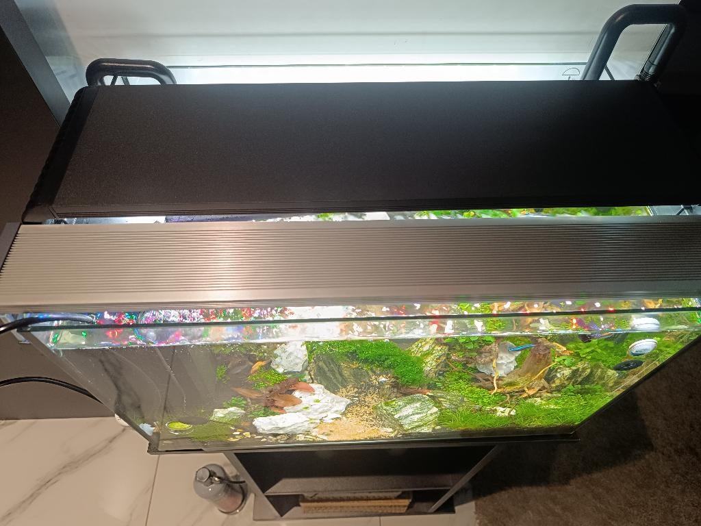 Aquarium complet avec meuble neuf beaucoup d'options, Enlèvement, Neuf, Aquarium d'eau douce rempli