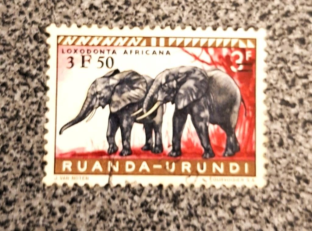 Postzegel Ruanda-Urundi OBP 224, gestempeld., Postzegels en Munten, Ophalen of Verzenden, Gestempeld