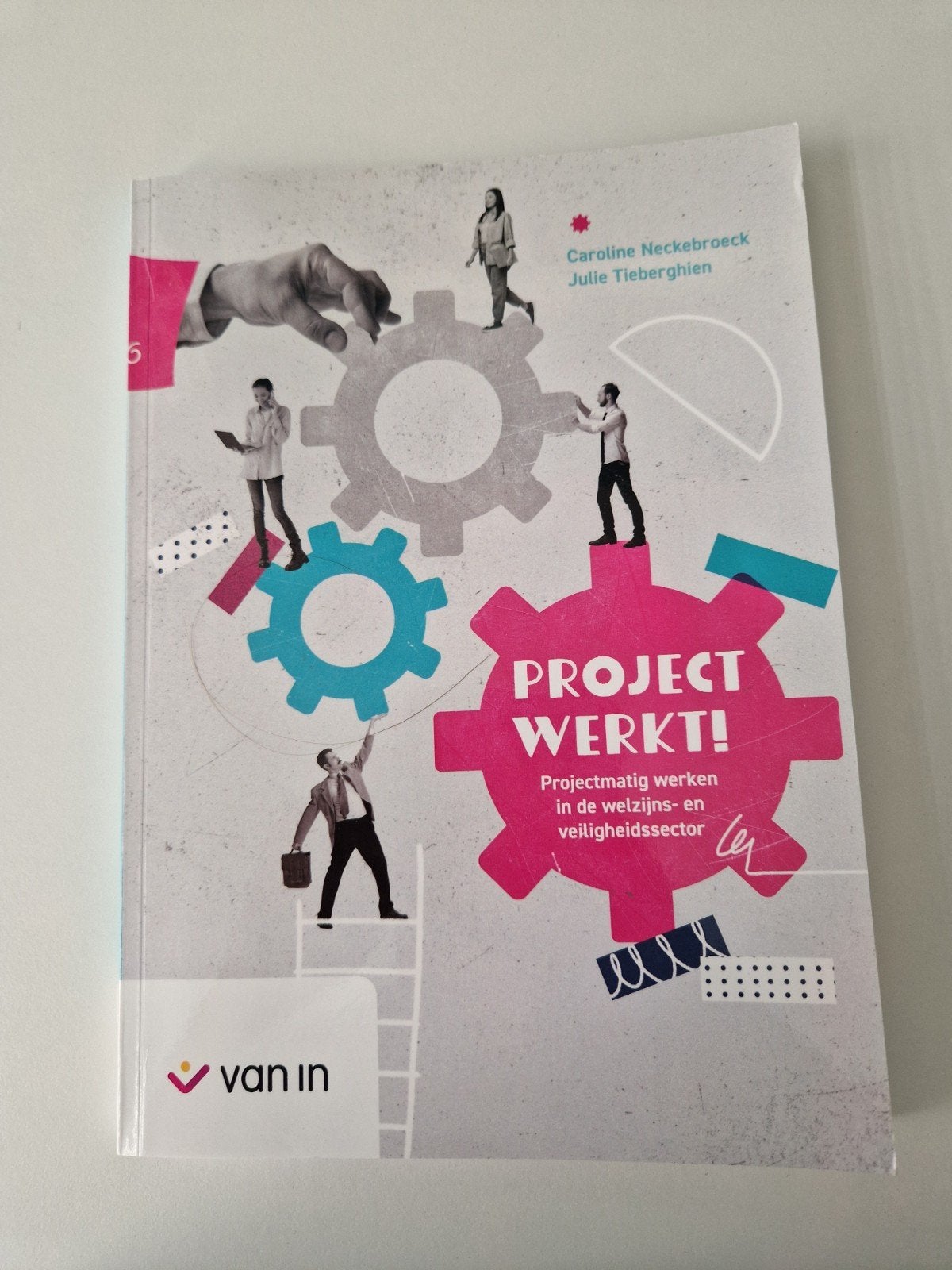 Project werkt! Projectmatig werken id welzijns- en veilighei, Ophalen of Verzenden, Zo goed als nieuw, Caroline Neckebroeck & Julie Tieberghien