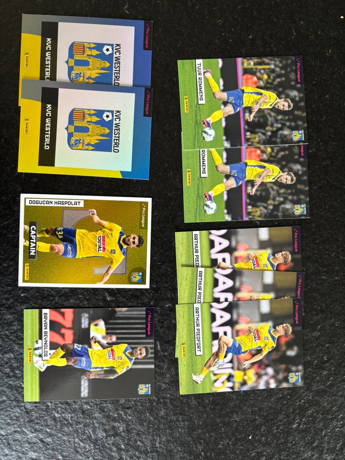 Panini voetbalkaarten jupiler pro league 2024/25 Westerlo, Enlèvement, Neuf, Cartes de joueur