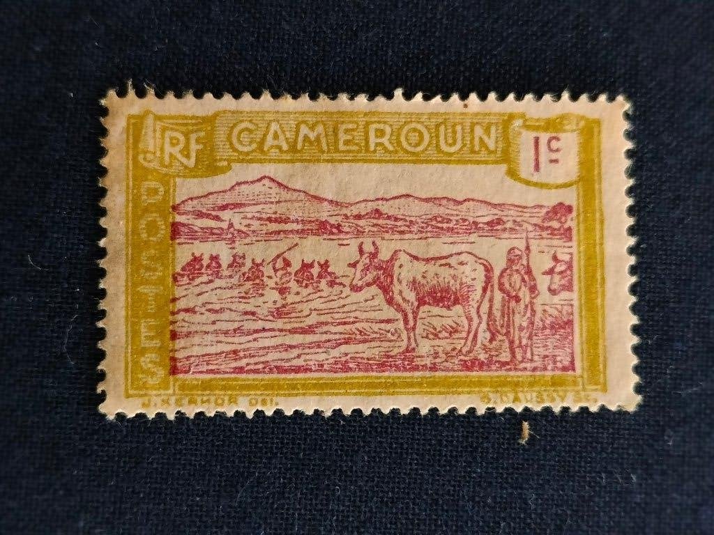 Cameroun 1925 - bétail au bord de la rivière, Envoi, Autres pays, Affranchi