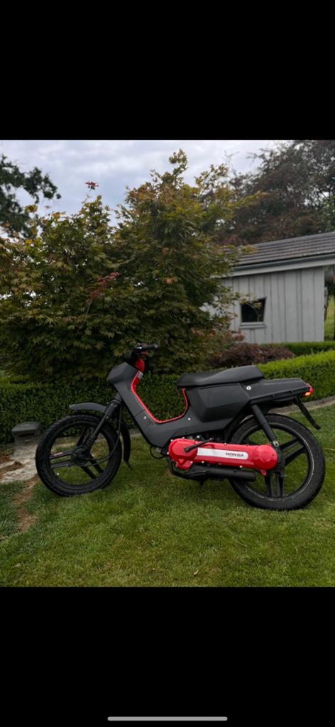 Wallaroo achat ou echange, Vélos & Vélomoteurs, Cyclomoteurs | Tomos, Comme neuf, Enlèvement