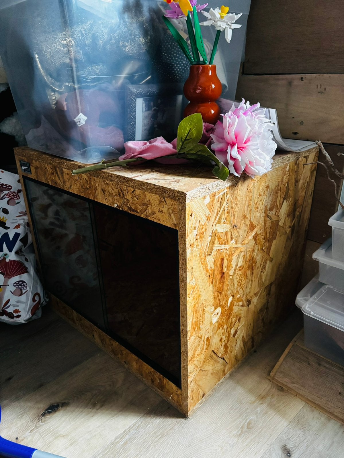 Terrarium osb, Animaux & Accessoires, Enlèvement, Utilisé, Terrarium ou Paludarium