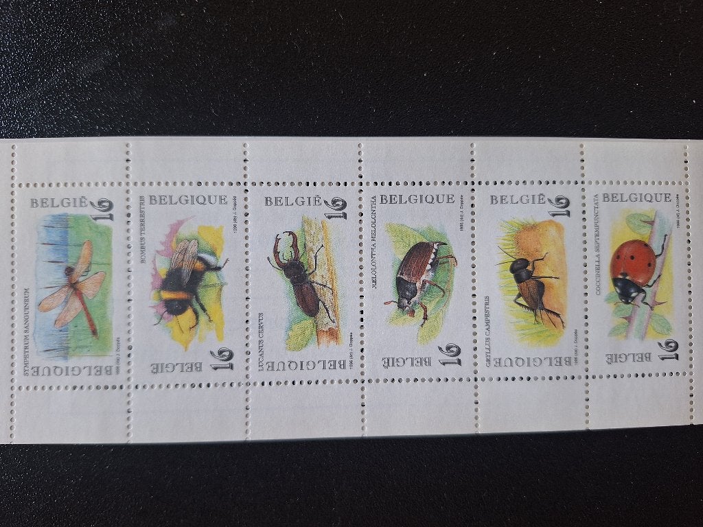 Boekje B27 - jaar 1996 - 2630-2635 - Insecten, Ophalen, Postfris, Postfris, Overig