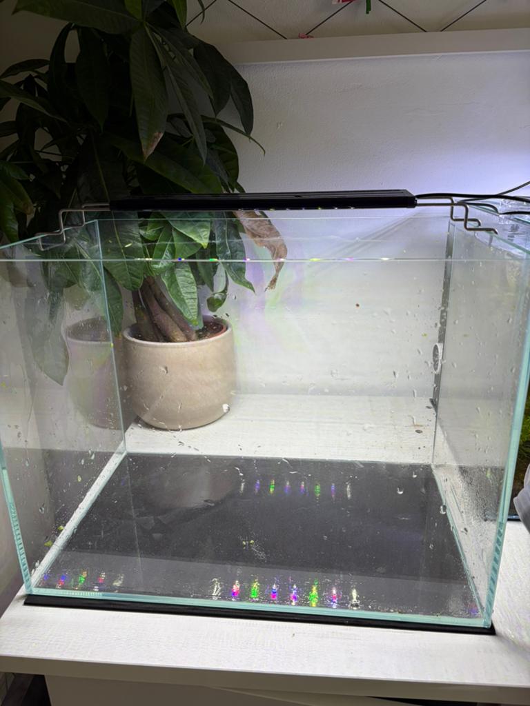 Aquariums, Dieren en Toebehoren, Vissen | Aquaria en Toebehoren, Ophalen, Nieuw, Leeg aquarium