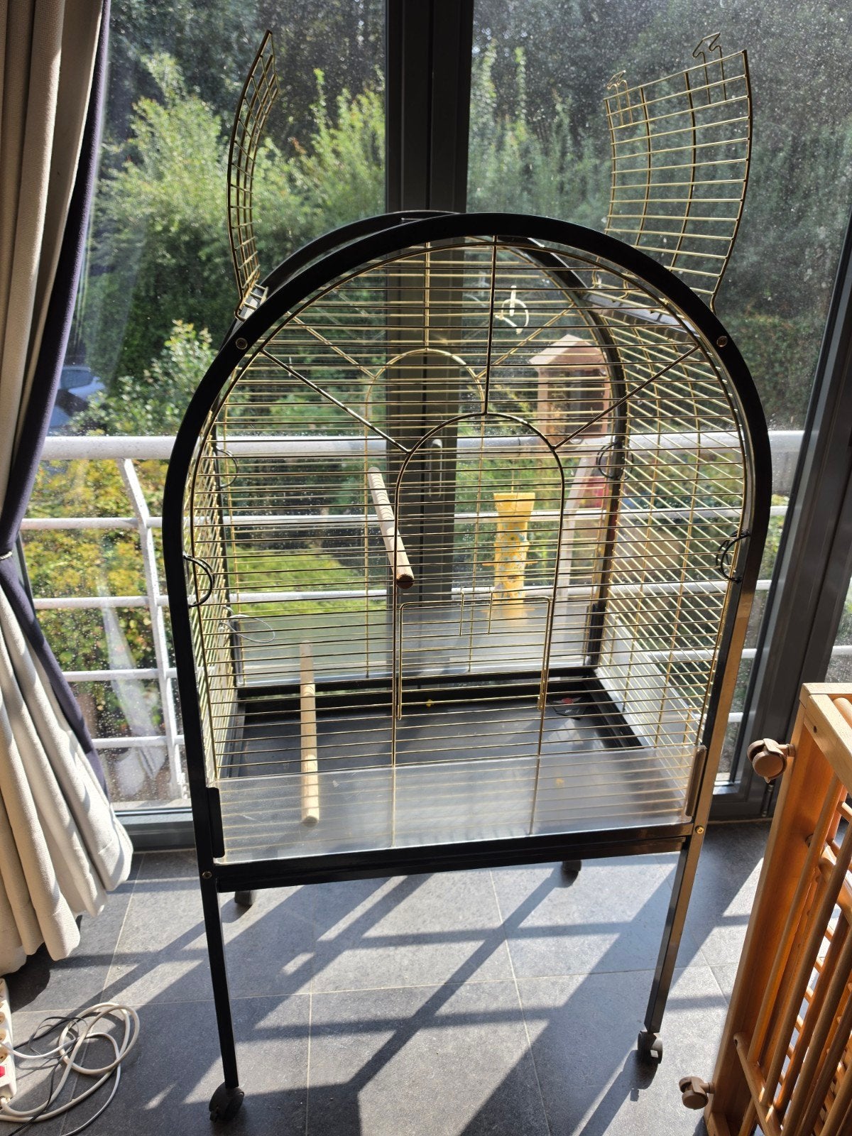 cage perroquet, Enlèvement, Utilisé, Métal, Cage à oiseaux