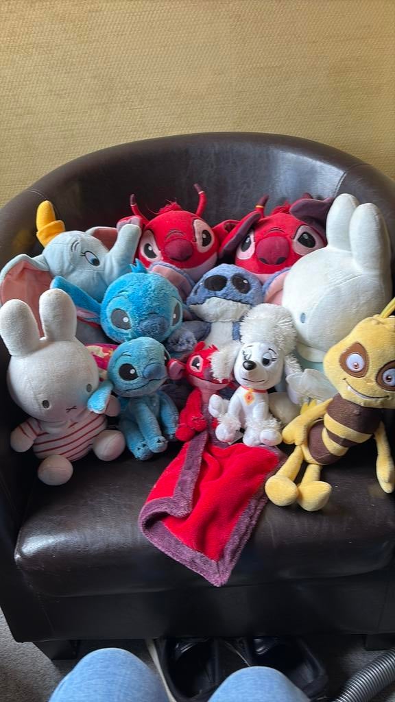Knuffels, Nijntje, Ophalen, Zo goed als nieuw, Met geluid