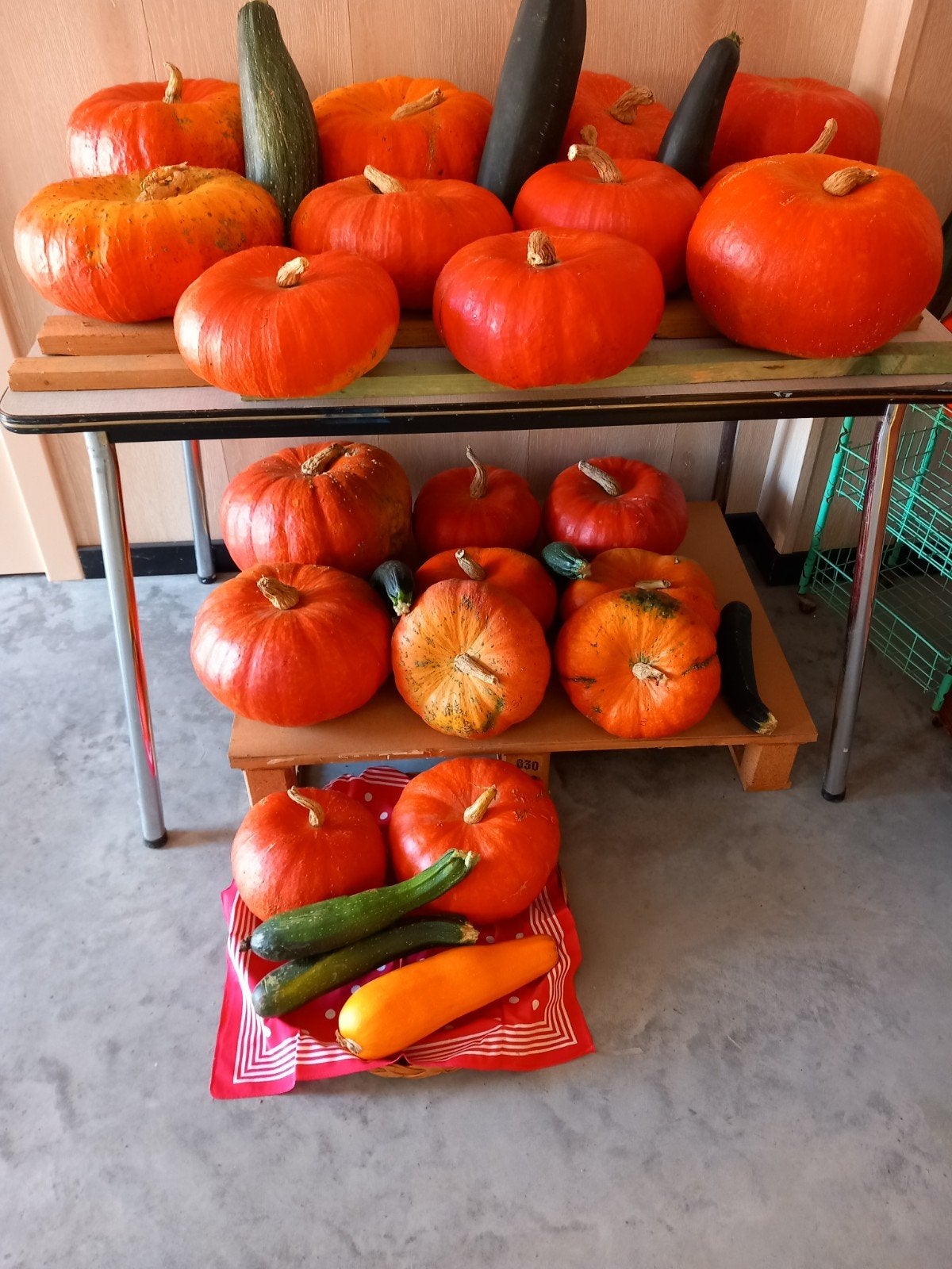 pompoenen te koop., Enlèvement
