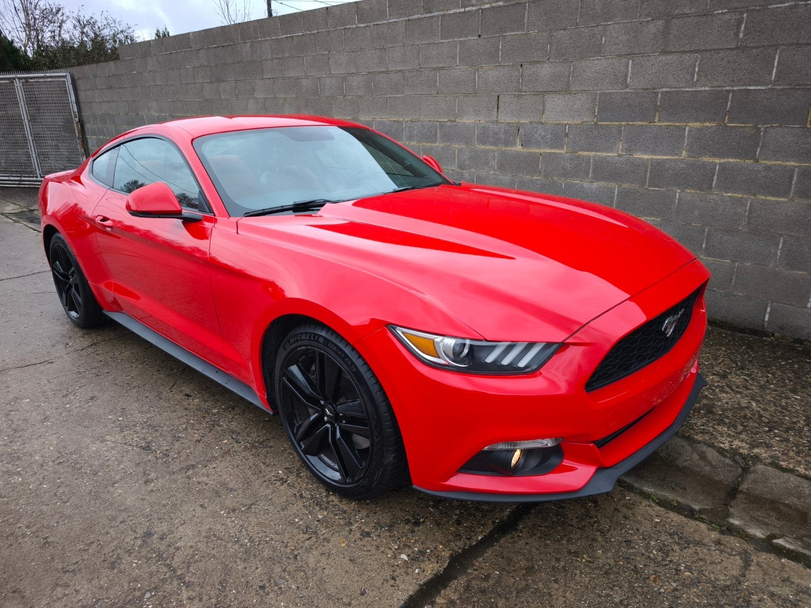 Ford Mustang 2.3 / Faible km / 1er prop / Carnet complet, Autos, Ford, Particulier, Achat, Mustang