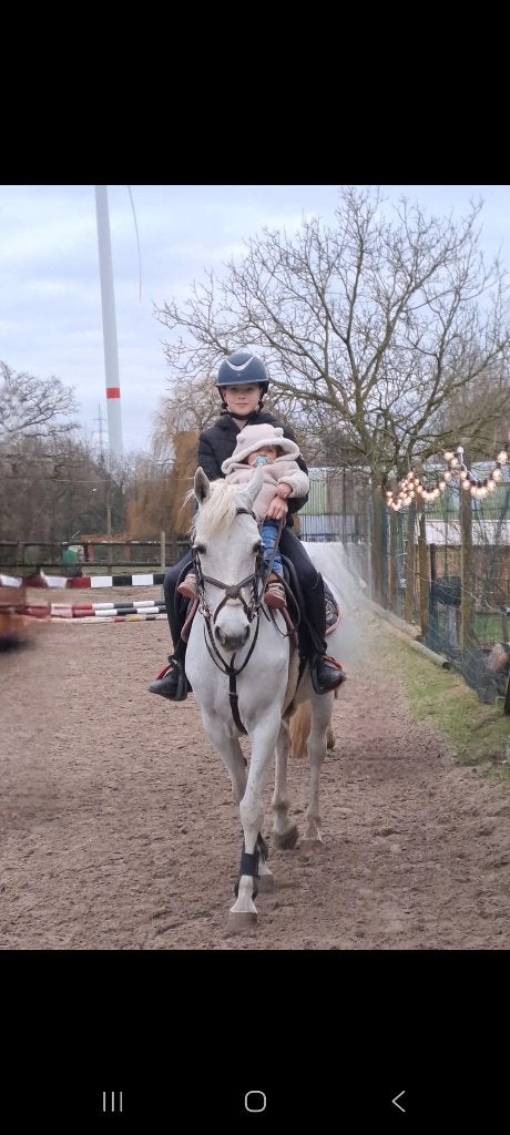 Knappe, brave D pony!, Dieren en Toebehoren, Merrie, Zadelmak, 11 jaar of ouder, Recreatiepony