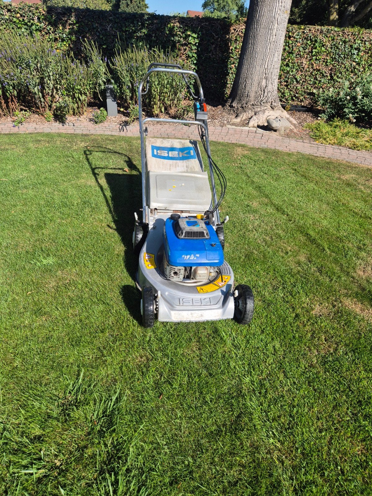 Iseki SW521 grasmaaier, Ophalen, Cirkelmaaier, Versnellingen, Benzine-grasmaaier