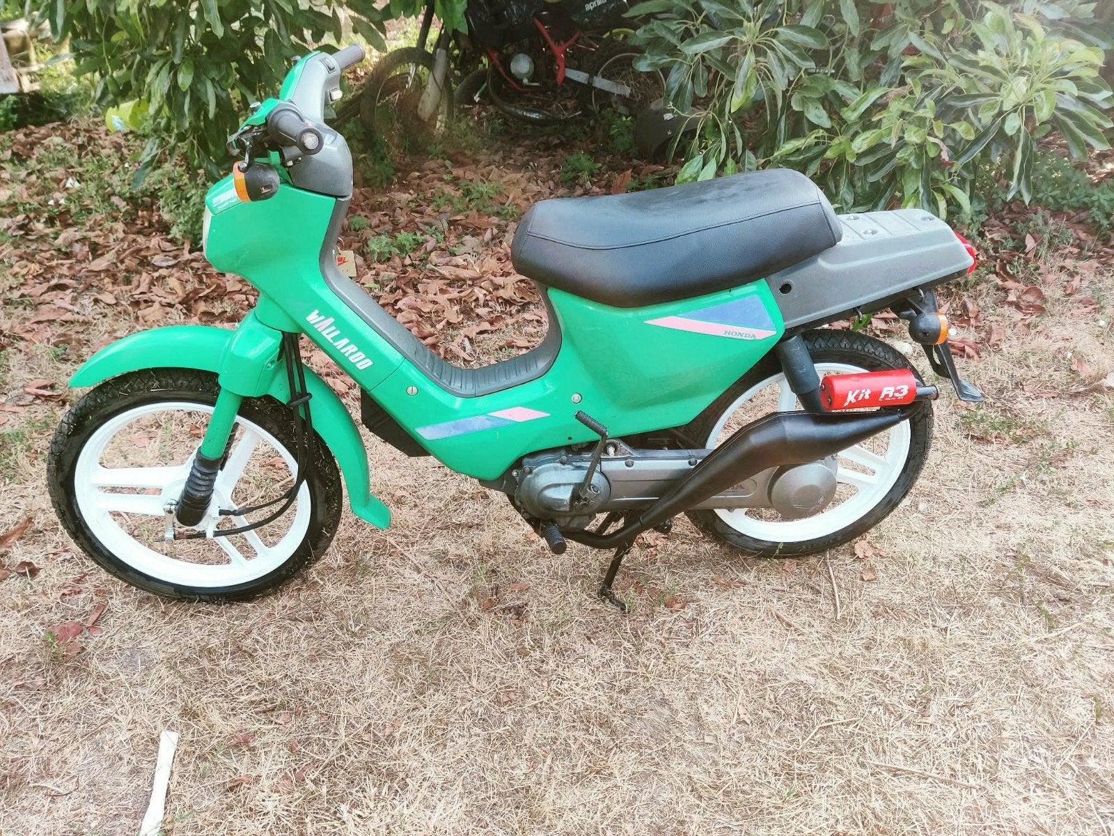 Wallaroo classe B, Vélos & Vélomoteurs, Enlèvement