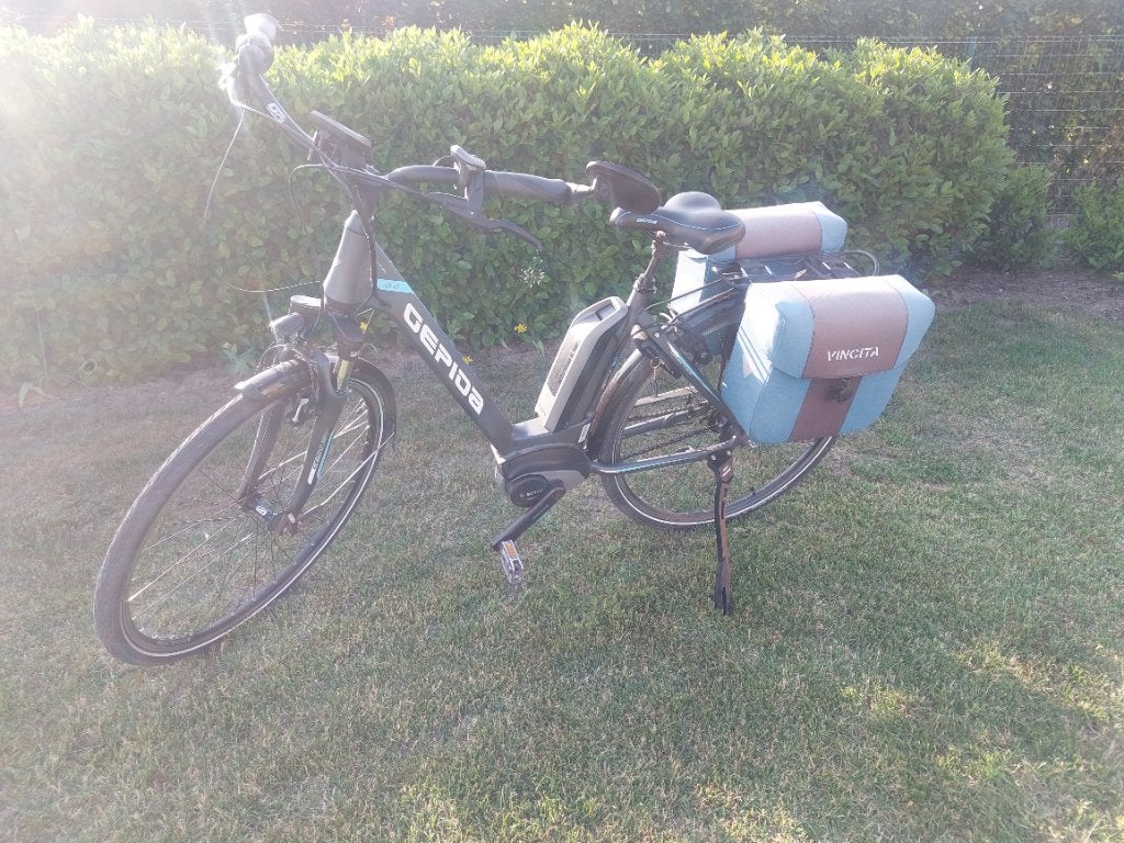 Elektrische damesfiets Gepida Reptila, 47 tot 50 cm, Ophalen, Overige merken