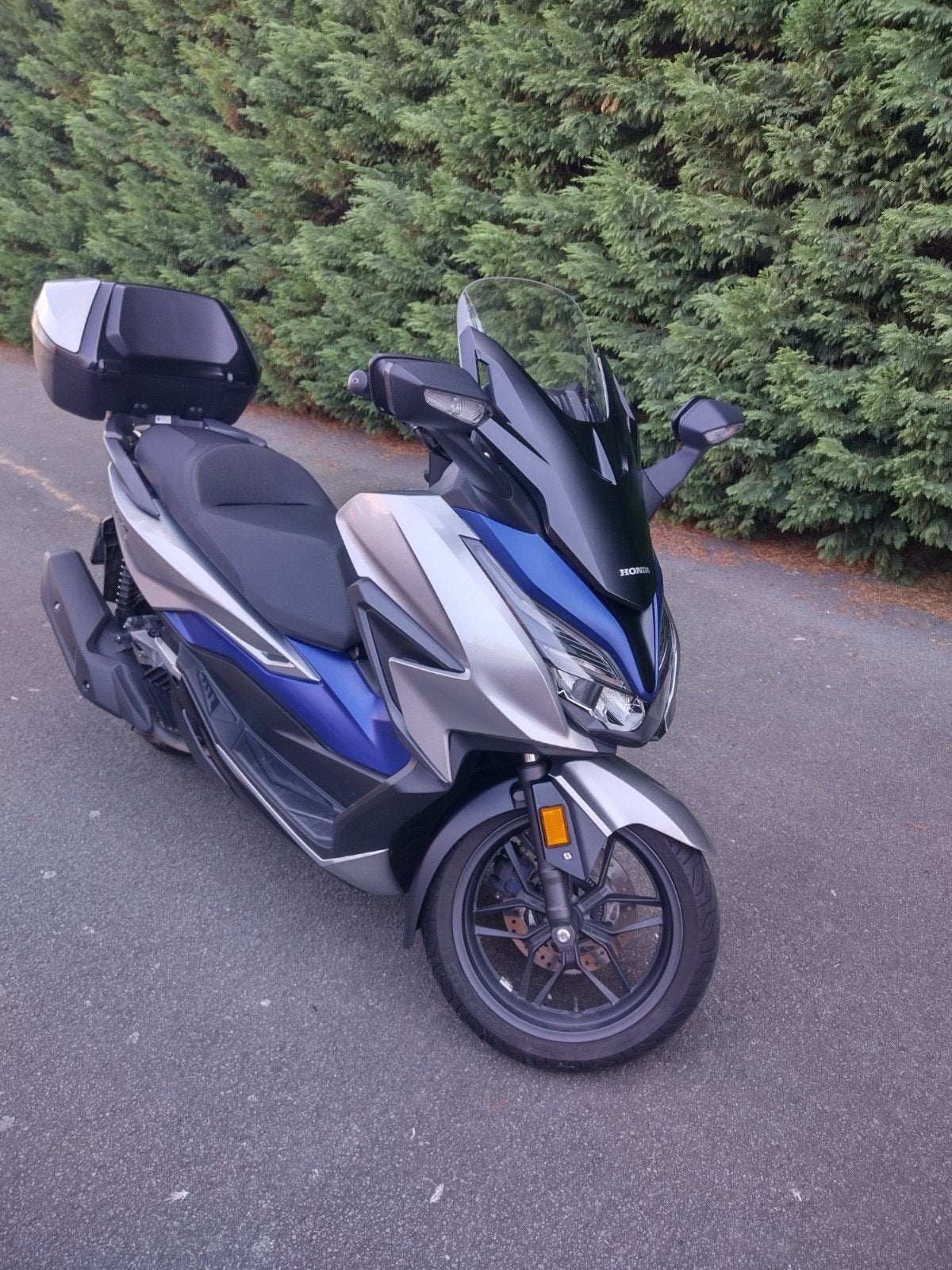 Honda Forza 125 zilver met blauw en zwart, ABS, Scooter, Occasion, Permis Moto A1 minimum