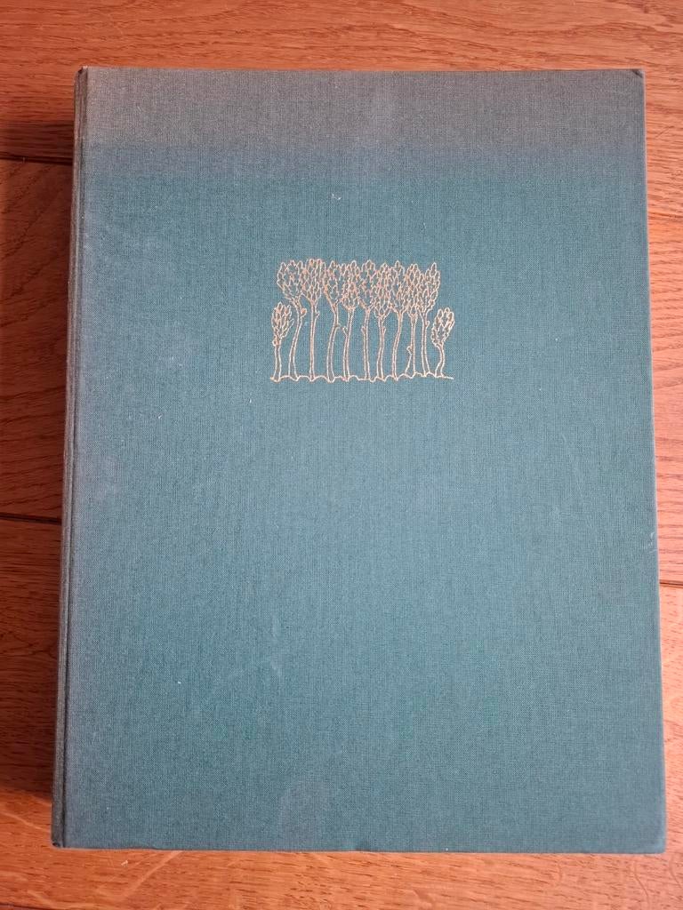 Tack - Forêts de Flandre, Enlèvement ou Envoi, Tack