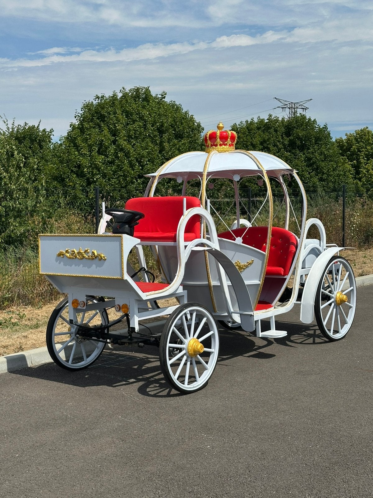 Calèche electrique evenementiel, Animaux & Accessoires, Comme neuf