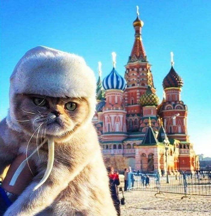 RUSSISCH LEREN RUSSISCH LEREN, Hobby en Vrije tijd, Ophalen, Nieuw