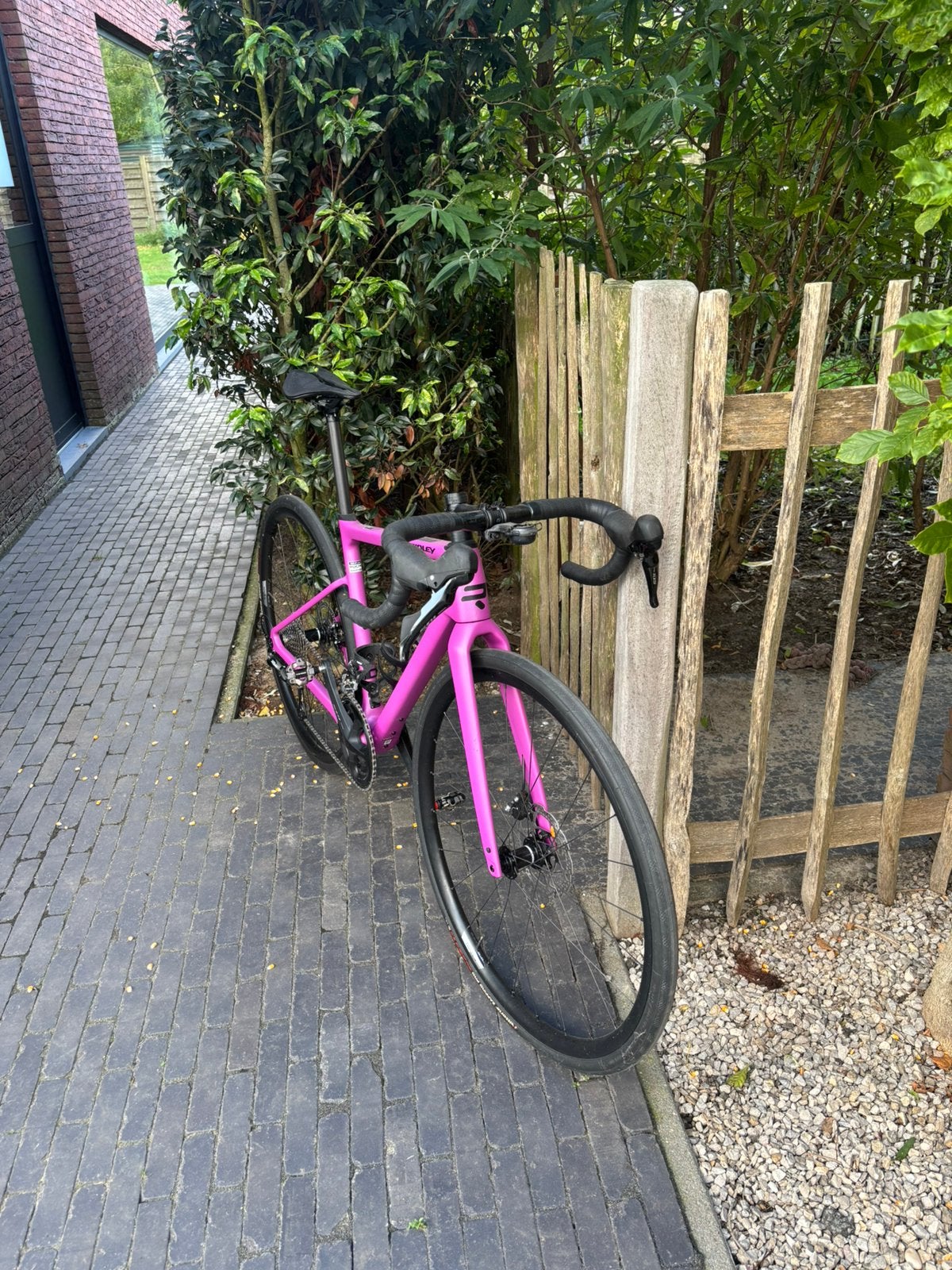 Ridley Grifn xs, Fietsen en Brommers, Ophalen, Carbon, 49 tot 53 cm, Zo goed als nieuw