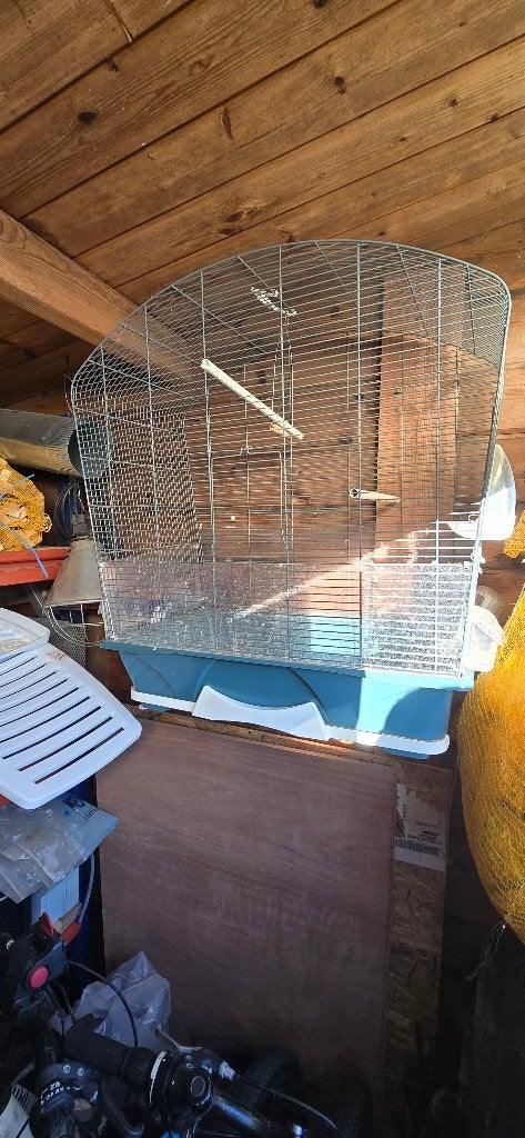 Cage + mandarin, Animaux & Accessoires, Enlèvement, Utilisé, Métal, Cage à oiseaux