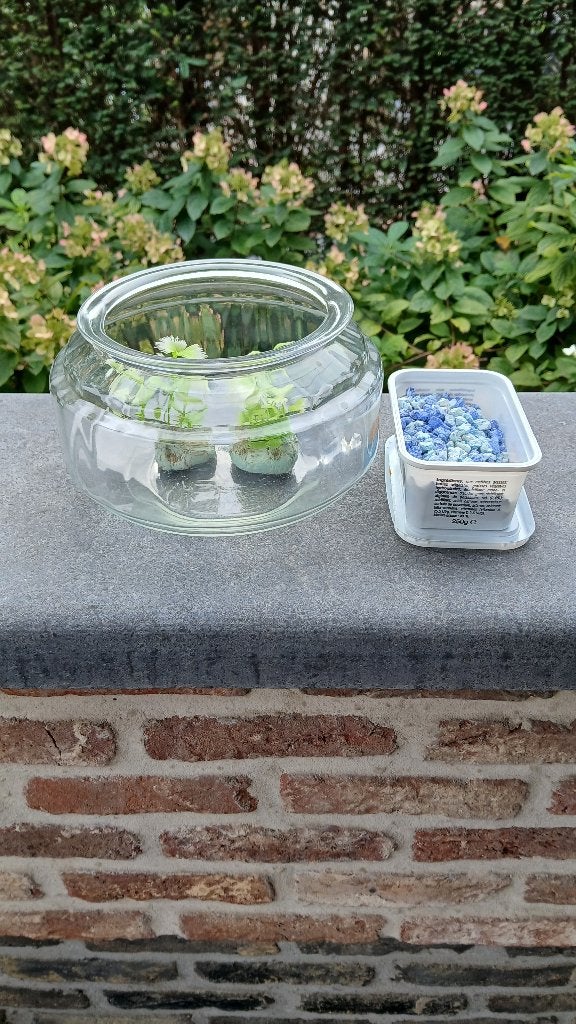 visbokaal,visbak,glas,plantjes en steentjes,doorm.20,H11cm, Dieren en Toebehoren, Ophalen, Gebruikt