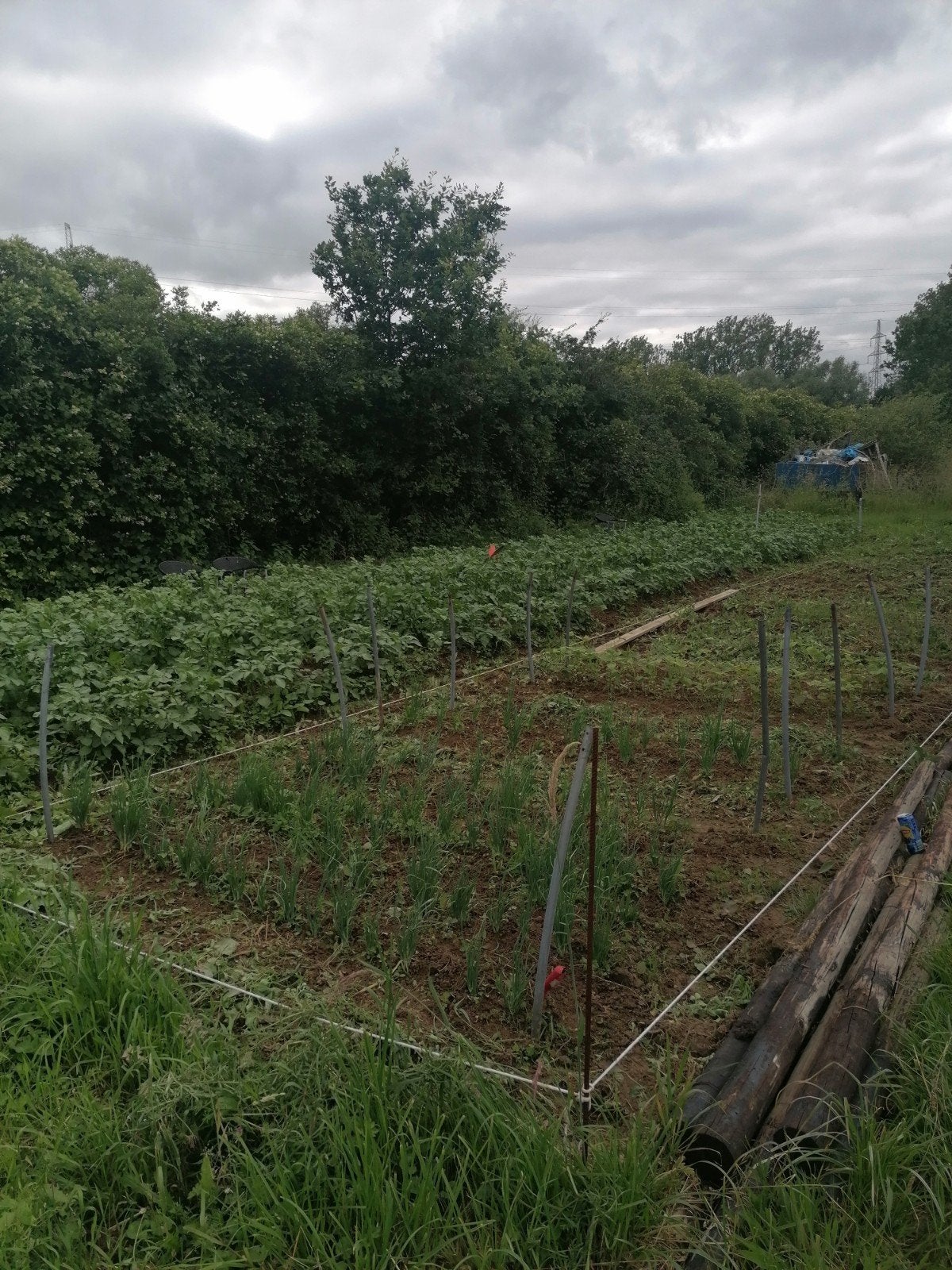 Groententuin verhuur er is nog een stukje vrij, Dieren en Toebehoren