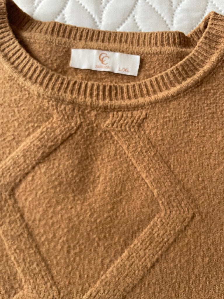 Trui, Kleding | Dames, Truien en Vesten, Ophalen of Verzenden, Zo goed als nieuw, Maat 36 (S), Bruin