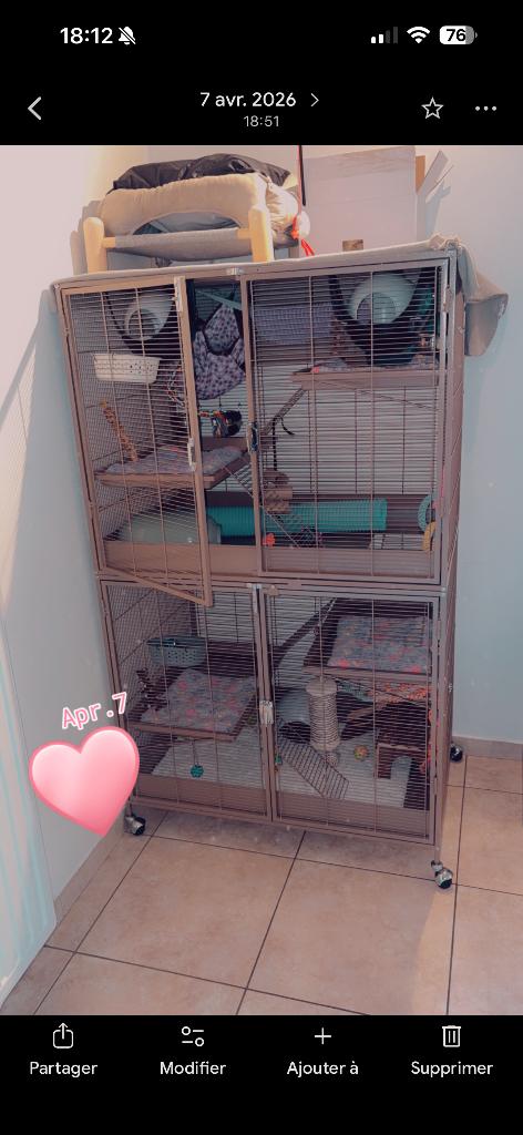 Cage Tiaki rongeur, Animaux & Accessoires, 90 cm ou plus, Cage, Enlèvement, 110 cm ou plus