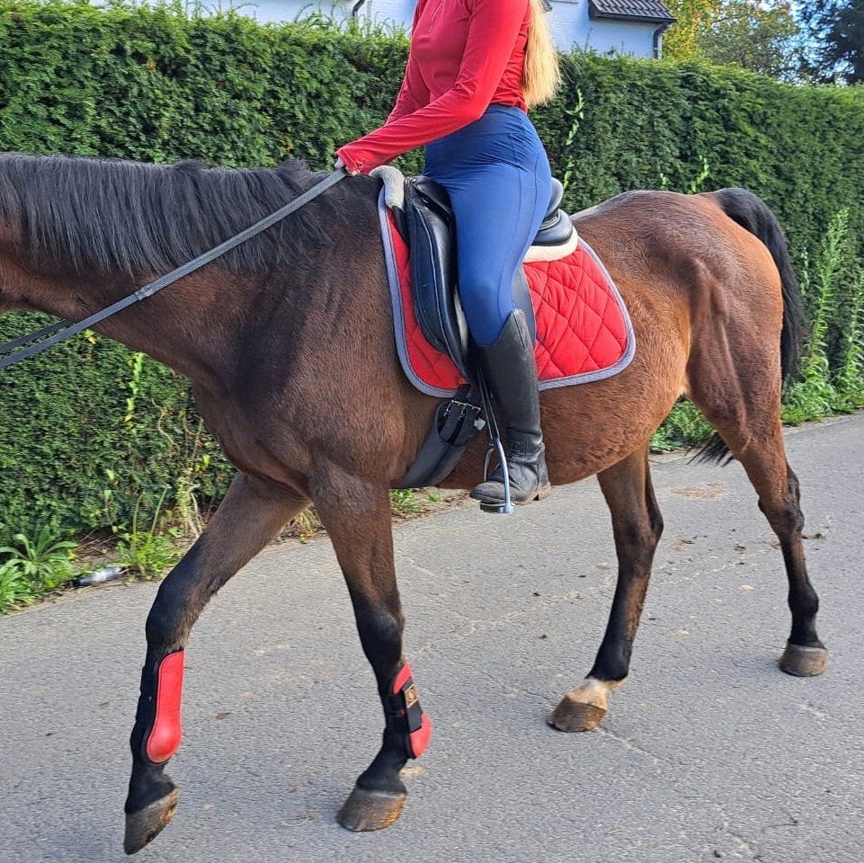 Dressuurzadel, Dieren en Toebehoren, Ophalen of Verzenden