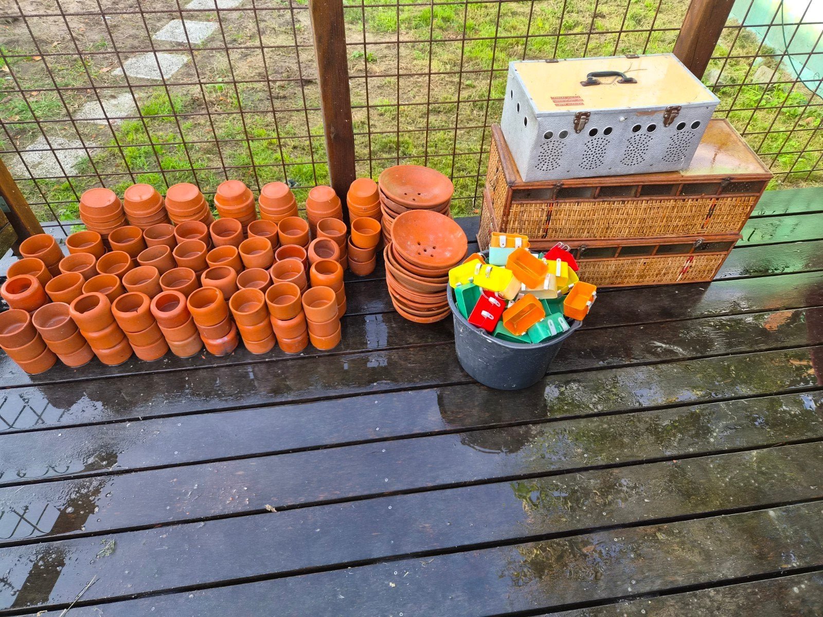 lot bieding voor duivenmelkers en of verzamellaars