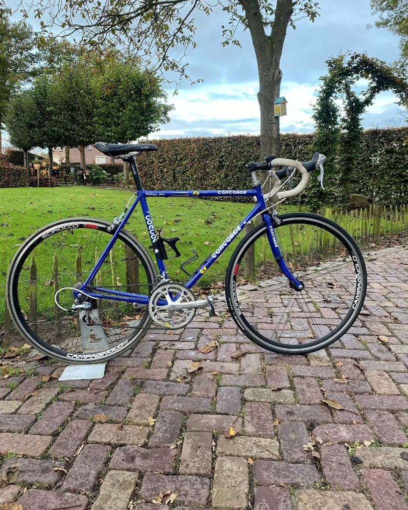 OPRUIMING! Concorde racefiets maat 54., Fietsen en Brommers, Fietsen | Racefietsen, Gebruikt, Overige merken, 10 tot 15 versnellingen
