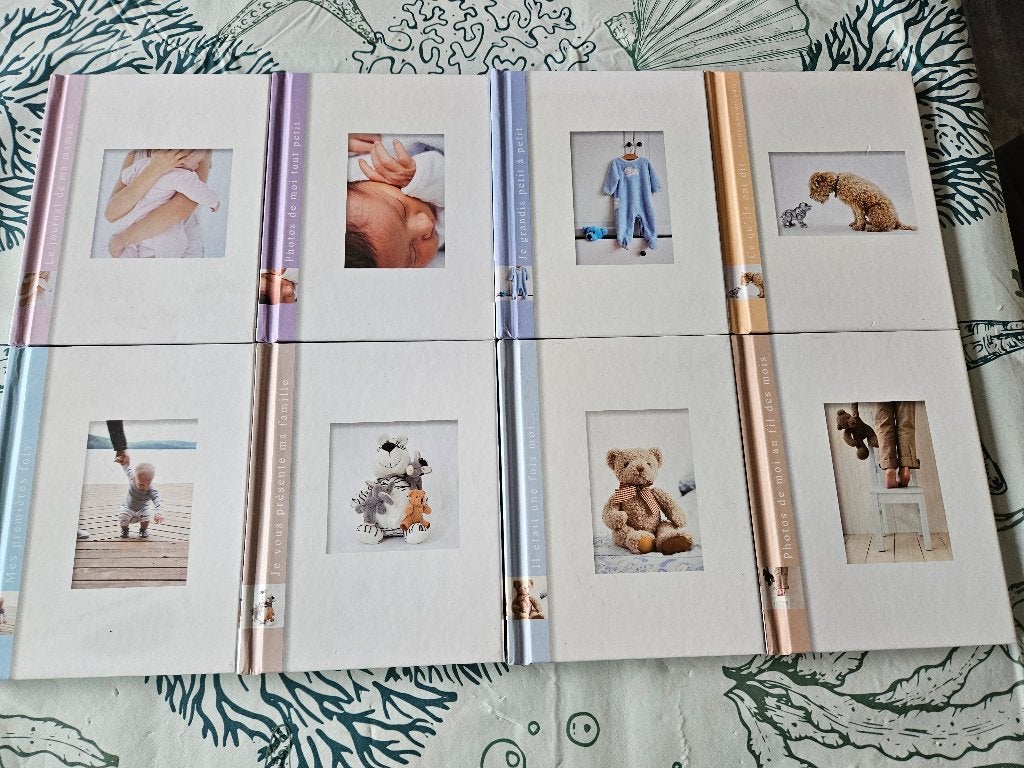 Livre de naissance nouveau, Enlèvement, Neuf
