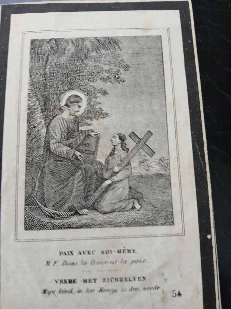 E.H.Franciscus Helsen geb 1799 overl 1868, Verzenden, Bidprentje