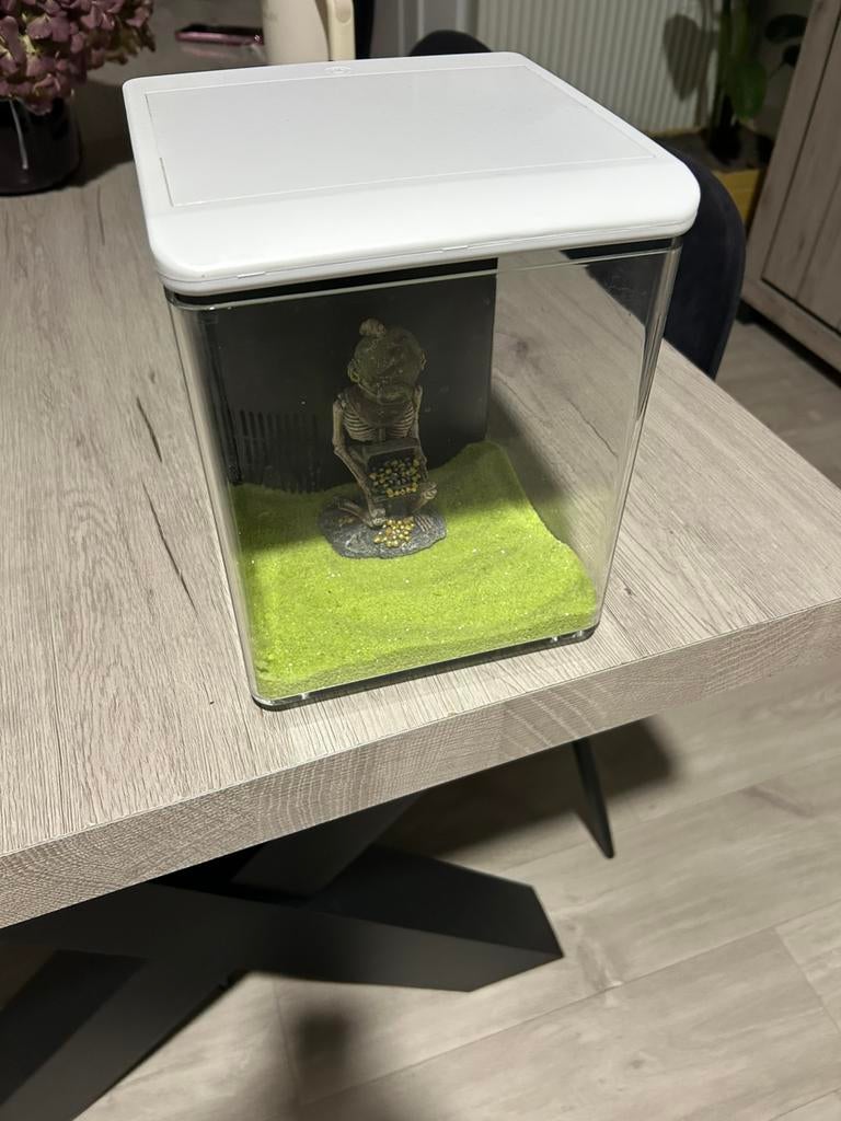 Aquarium Superfish, Dieren en Toebehoren, Ophalen, Zo goed als nieuw, Decoratie, Superfish