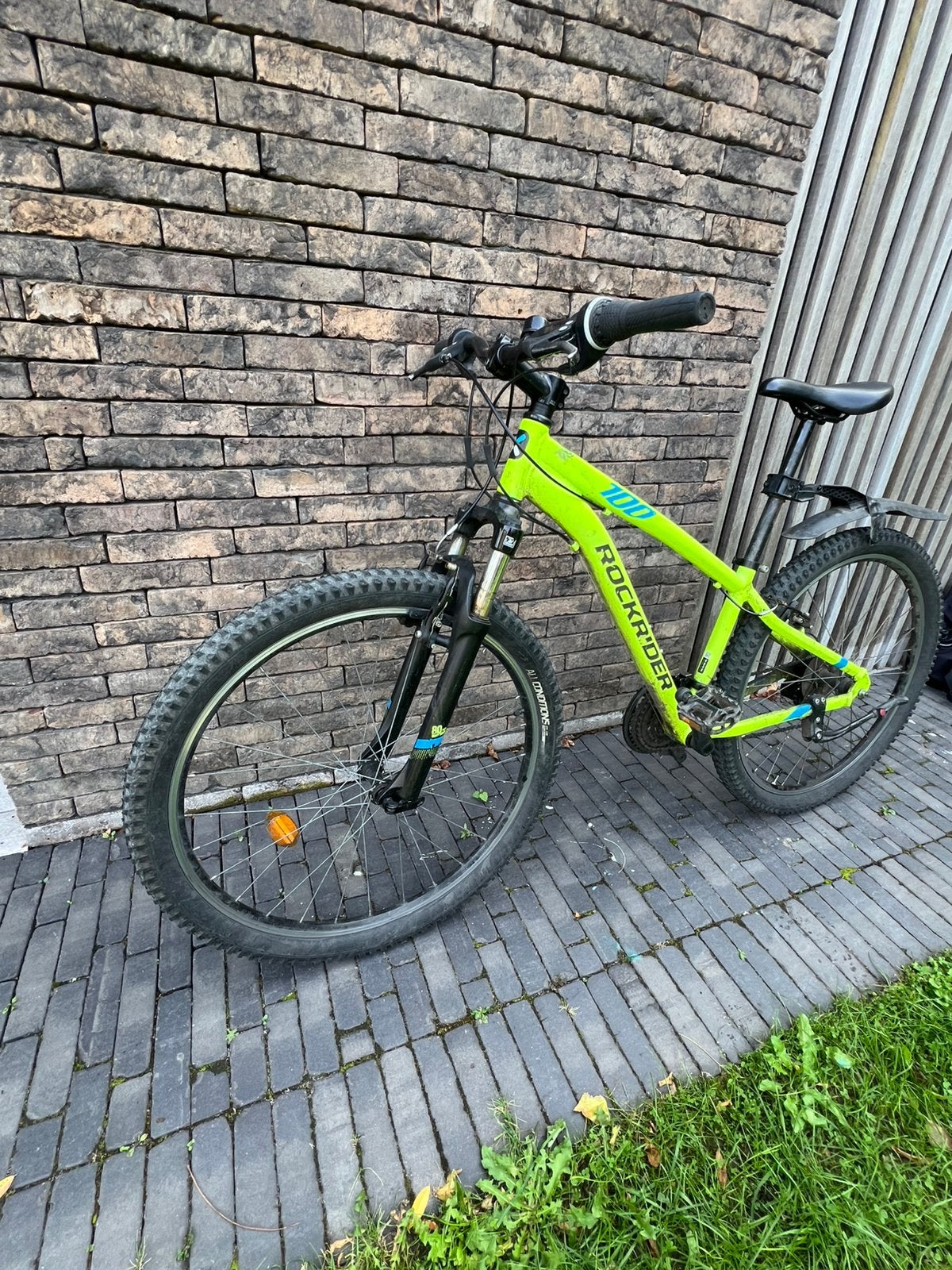 Vélo de montagne Rockrider 100st, Enlèvement, Utilisé