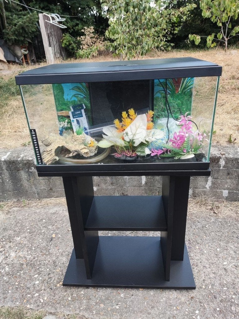 CIANO AQUARIUM 60 KIT + ACCESSORIES, Ophalen, Vissenkom, Gebruikt, Pomp