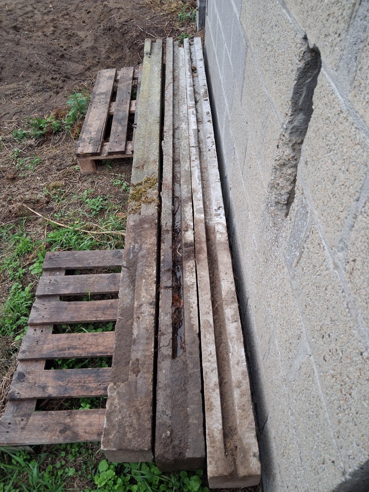10 betonpalen 3m lang te westerlo, Ophalen