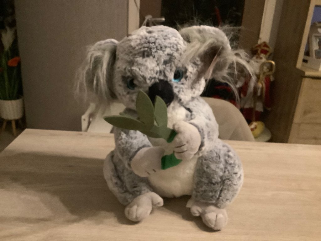 Personnage en peluche Koala (Nouveau) (38 cm), Enfants & Bébés, Neuf, Avec vêtements ou accessoires, Enlèvement ou Envoi, Overige karakters