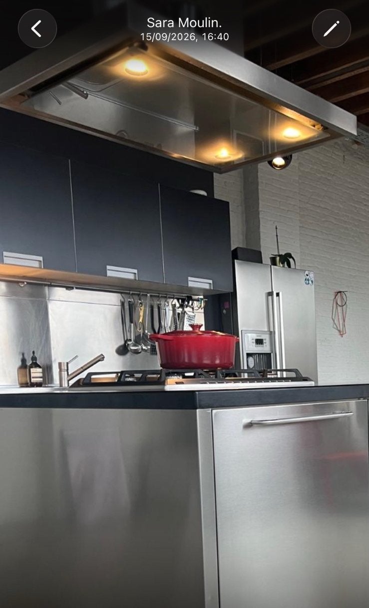 Dampkap inox rvs, Ophalen of Verzenden, Gebruikt