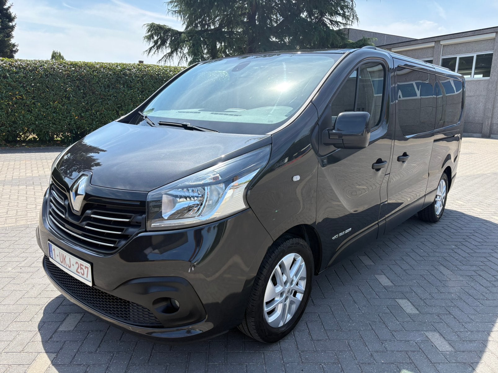 Renault trafic 2016 / 8 zitplaatsen, Auto's, Renault, Bedrijf, Trafic, ABS, Achteruitrijcamera, Adaptieve lichten, Adaptive Cruise Control