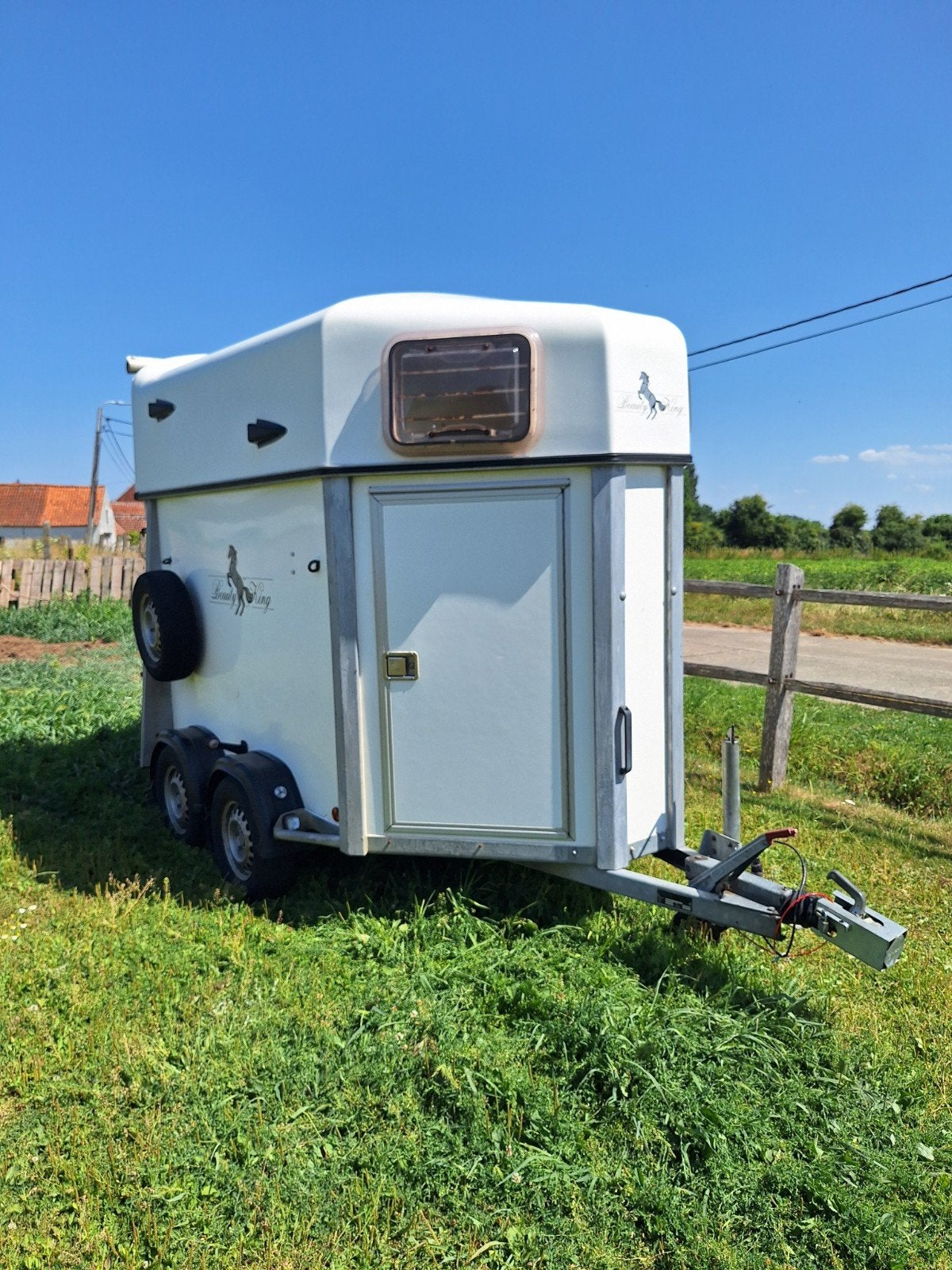 RW paardentrailer te koop – In goede staat!, Ophalen, Gebruikt, Polyester, 2-paards trailer