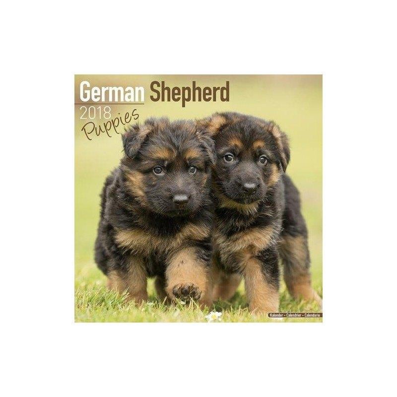 Calendrier Chiot Berger Allemand 2018, Enlèvement ou Envoi, Calendrier annuel, Neuf