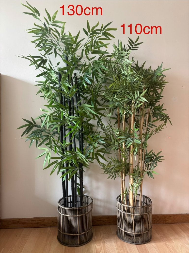Lot fausses plantes, Enlèvement, 100 à 150 cm