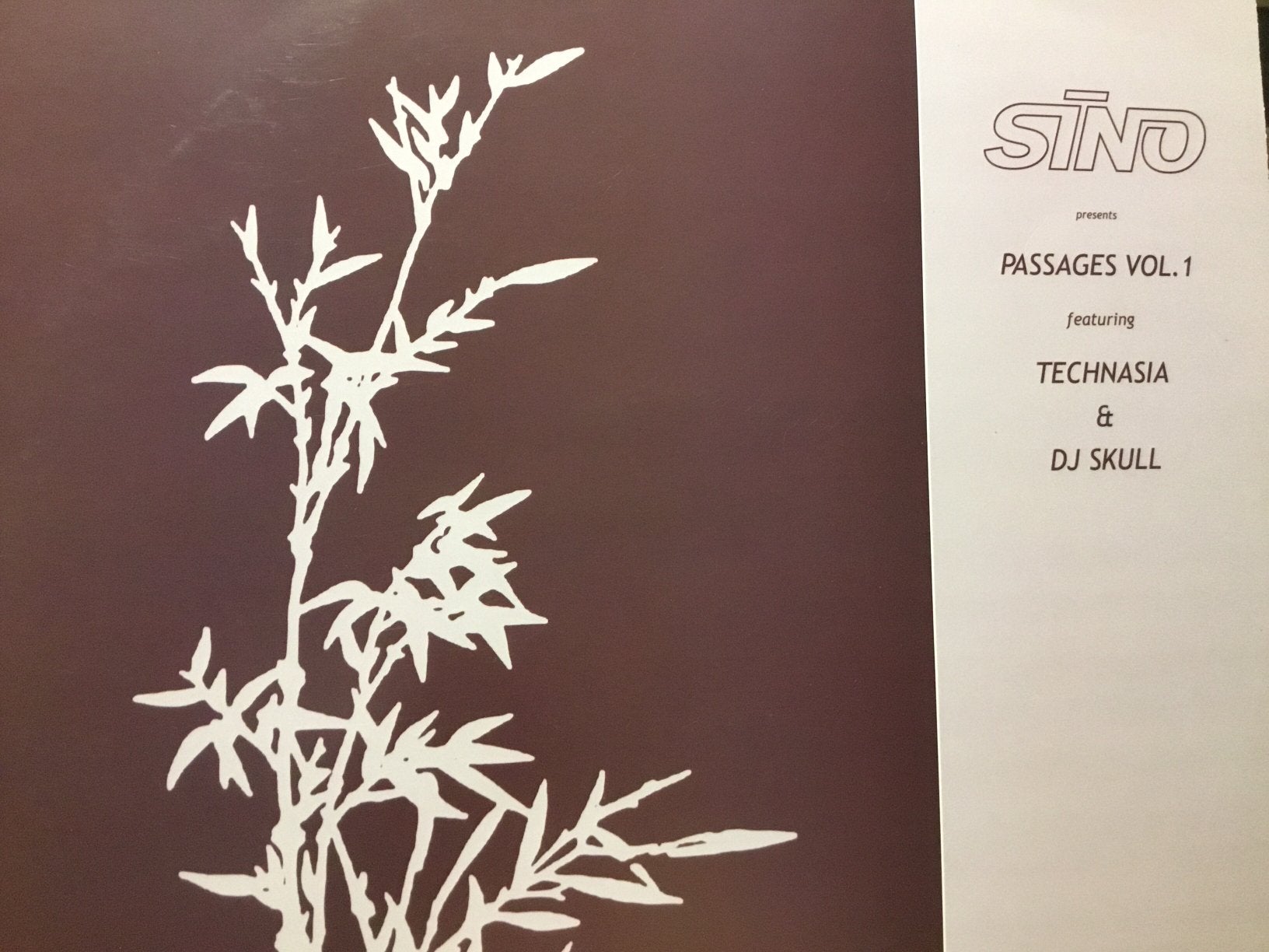 Technasia & DJ Skull. Passages Vol. 1, CD & DVD, Vinyles | Dance & House, Enlèvement ou Envoi, Comme neuf