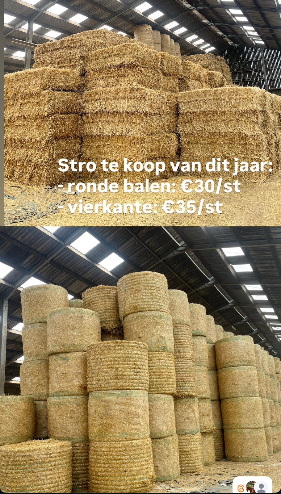 Stro van dit jaar te koop, Animaux & Accessoires, Nourriture pour Animaux, Enlèvement